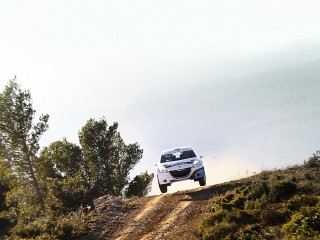 Craig Breen Peugeot 208 R5