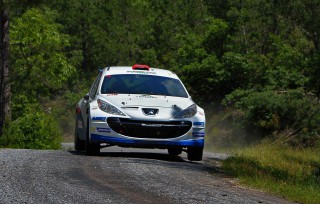 Yagiz Avci 2015 Yesil Bursa3