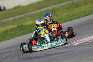 omer-asaf-kolot
